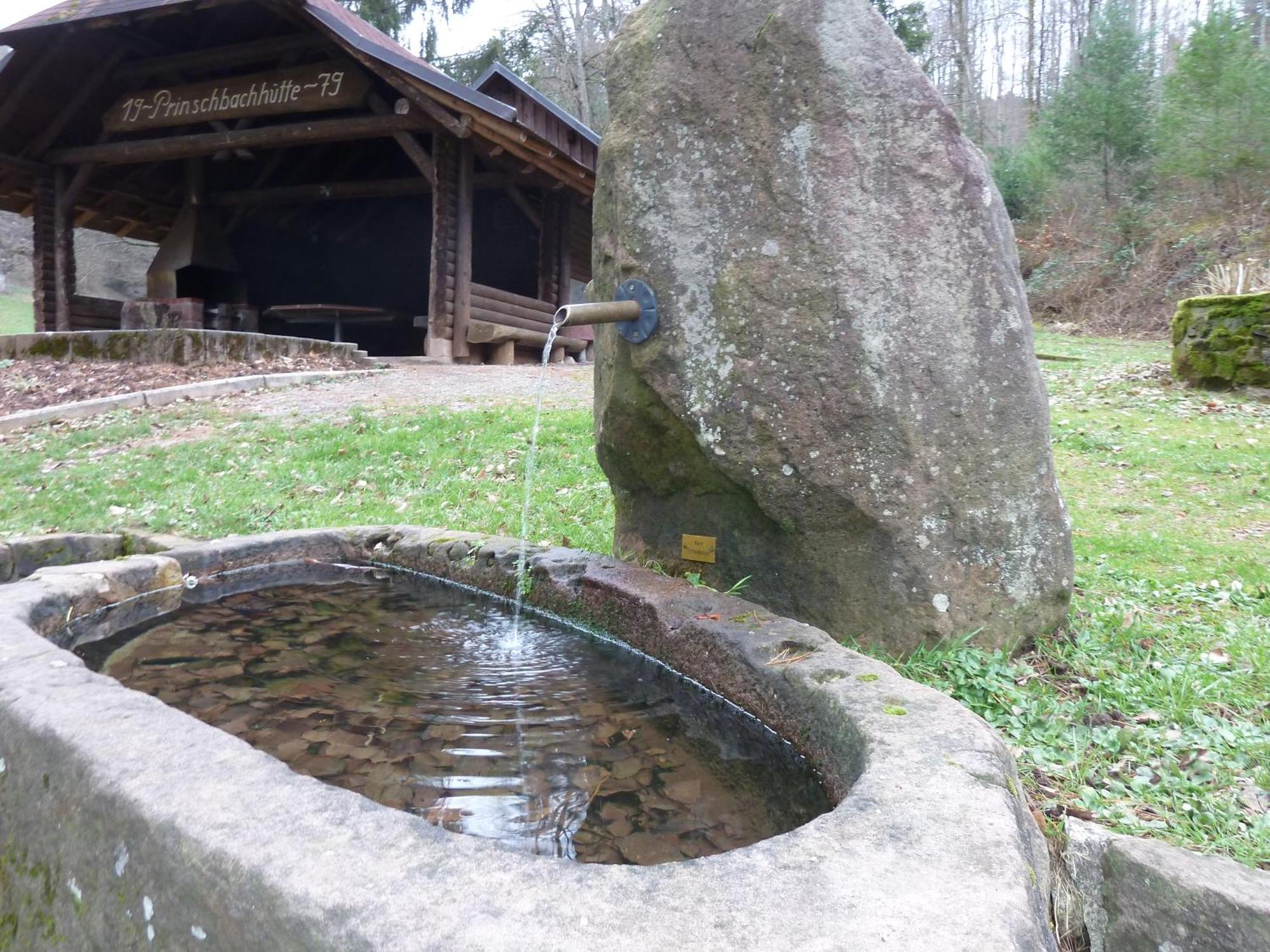 Ferienwohnung Am Wald Doerlinbach Schuttertal Exterior foto